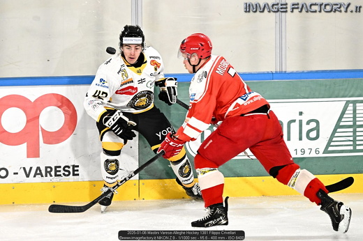 2025-01-06 Mastini Varese-Alleghe Hockey 1381 Filippo Crivellari